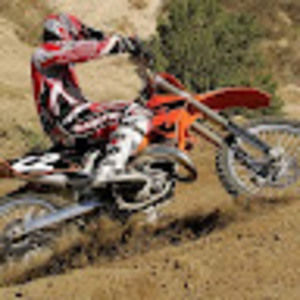 Meet your Posher, Sunny